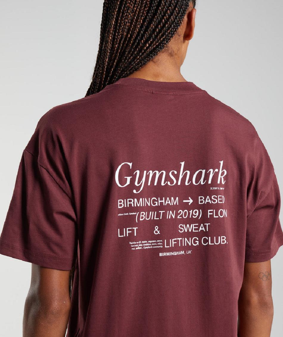 Gymshark Social Club Oversized Ženske T Shirts Roze Smeđe | HR 3299RVD